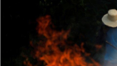 Los incendios en Brasil registran este año un número récord.