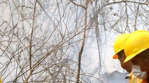 Un incendio ha afectado en Bolivia en la Chiquitanía.