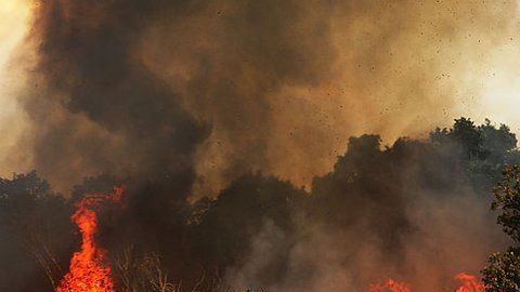 Los incendios no están vinculados a la temporada seca.