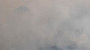 Más de la mitad de los incendios en Brasil son en la Amazonía.