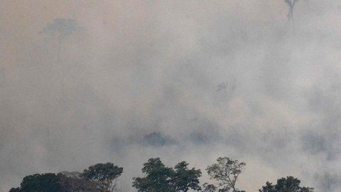 Más de la mitad de los incendios en Brasil son en la Amazonía.