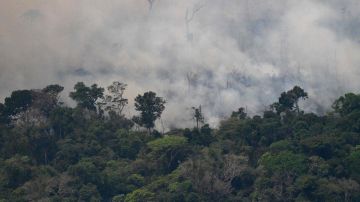 Más de la mitad de los incendios en Brasil son en la Amazonía.