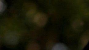 Las comunidades indígenas de la Amazonía hablan 86 lenguajes y 650 dialectos.