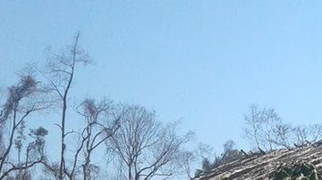 Eidi y Romildo murieron cuando intentaban huir de las llamas que rodearon su casa en una zona rural del estado de Rondonia, en Brasil.