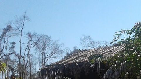 Eidi y Romildo murieron cuando intentaban huir de las llamas que rodearon su casa en una zona rural del estado de Rondonia, en Brasil.