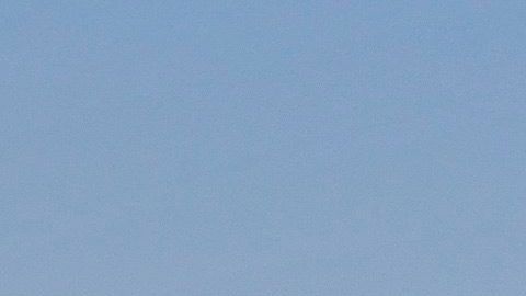 Las nuevas cifras reflejarían las nuevas prácticas migratorias de los dos países