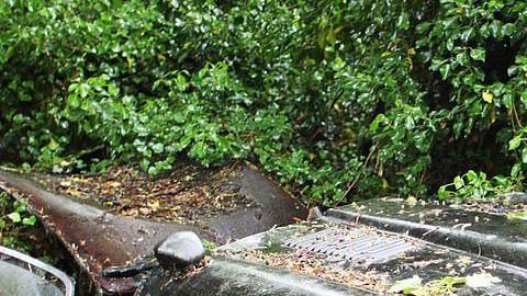 Jaguar E-Type de 1964 / Foto: E-Type UK