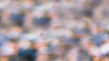 Hugo Sánchez conquistó cinco pichichis con el Real Madrid.