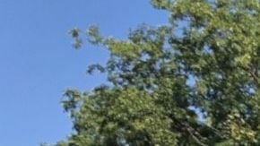 Personal de algunas tiendas fue evacuado del 'mall'.