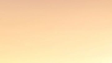 El Ford Shelby GT500 2020 tiene un precio inicial de $$73,995, sin contar varios complementos como las franjas