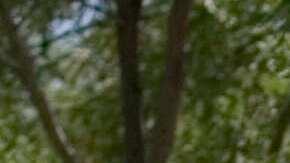 La Patrulla Fronteriza aún no ha explicado por qué el agente disparó.