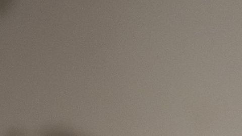 Sasha Moreno, Irving, TX