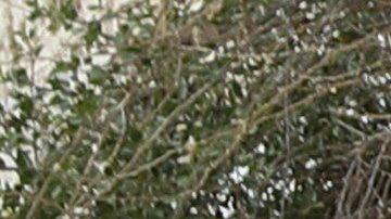 El presidente Trump ha visitado Israel.