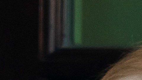 Trump y Bolsonaro en la Casa Blanca