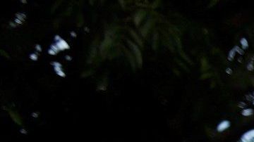 Ciento protestaron en contra de la designación de Wanda Vázquez, el pasado 29 de julio.