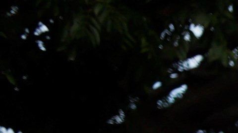 Ciento protestaron en contra de la designación de Wanda Vázquez, el pasado 29 de julio.