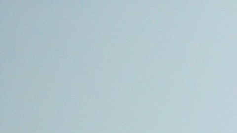 Paola Longoria recibió las felicitaciones de Layún, "Chicharito" y los Patriots.