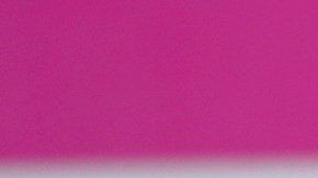 Al obtener su novena medalla de oro, Paola Longoria se convirtió este sábado en la atleta mexicana más ganadora de Juegos Panamericanos