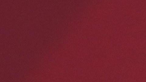 El presidente de México aseguró que vigilará que todo el proceso se siga de forma legal.