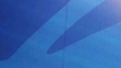 Mario Balotelli fue presentado oficialmente como refuerzo del Brescia.