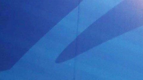 Mario Balotelli fue presentado oficialmente como refuerzo del Brescia.