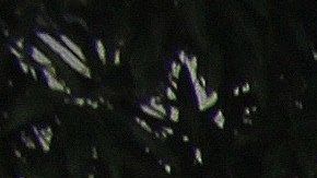 Cada vez más familias abandonan su intento de llegar a Estados Unidos.