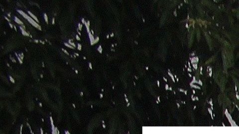 Cada vez más familias abandonan su intento de llegar a Estados Unidos.