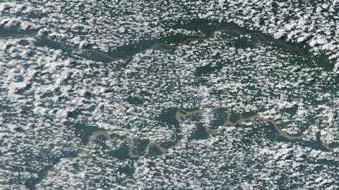 La primera visita presidencial de Bolsonaro fue en marzo a EEUU.