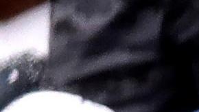 Para el último Gran Slam del año estarán presentes las estrellas de la raqueta