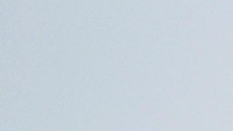 Melania Trump durante el encuentro del G7.