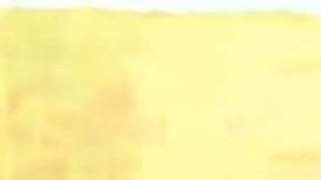 Iván Márquez dando el anuncio.