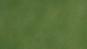 Todo parece indicar que Neymar se quedará en el Paris Saint Germain.