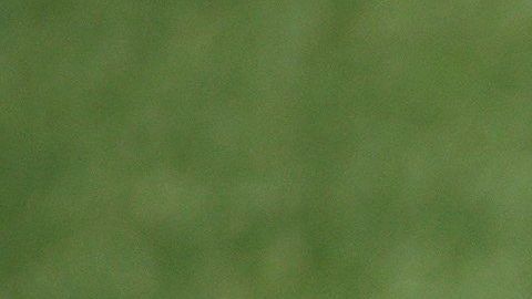 Todo parece indicar que Neymar se quedará en el Paris Saint Germain.