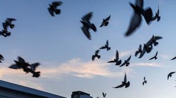 El panorama esta mañana en el muelle de Cocoa Beach, en Florida.