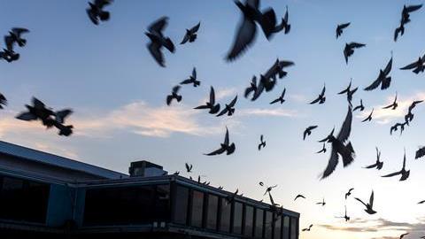 El panorama esta mañana en el muelle de Cocoa Beach, en Florida.