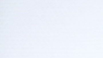 Nilbia Coyote, Brooklyn, NY