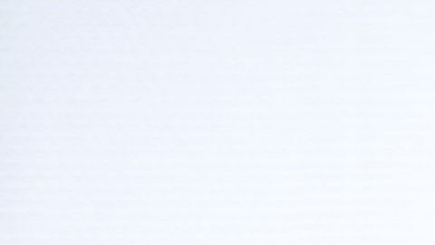 Nilbia Coyote, Brooklyn, NY