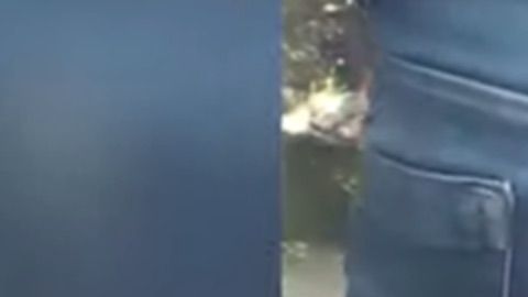 Cientos de abejas sobre el trasero de un hombre.