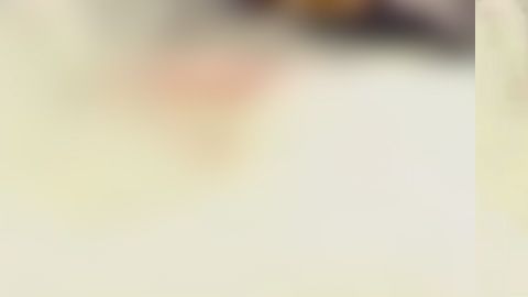 Una invasión de abejas retrasa partido en Brasil