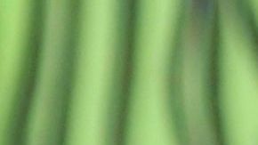 Adamari López, la estrella de "Un nuevo día" de Telemundo