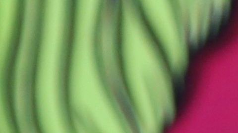 Adamari López, la estrella de "Un nuevo día" de Telemundo