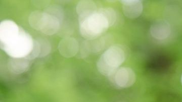 La chía es un maravilloso remedio para tratar el estreñimiento debido a su alto contenido en fibra.