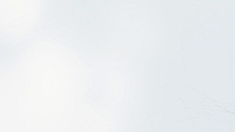 Allison Stokke se convirtió en un ícono de la sensualidad deportiva y eso la hizo abandonar el deporte.