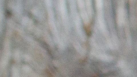 anna-pelzer-IGfIGP5ONV0-unsplash