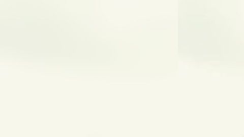 El auto quedó literalmente partido en dos por el violento impacto