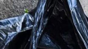 Aparecen otros 5 muertos, entre ellos una mujer en zona de guerra del CJNG y Los Zetas