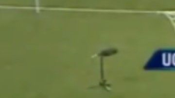 Las imágenes muestran que el silbante fue alcanzado por un objeto lanzado desde la tribuna y el cuarto árbitro continuó con el juego