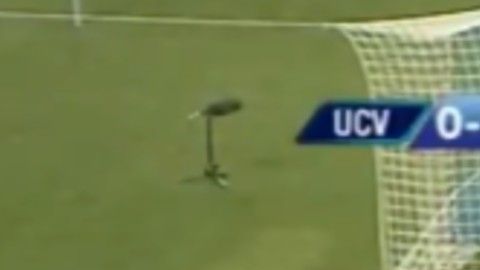 Las imágenes muestran que el silbante fue alcanzado por un objeto lanzado desde la tribuna y el cuarto árbitro continuó con el juego