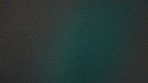 Adrian, el arquero del Liverpool detuvo el último penal y con ello le dio el primer título de la temporada a los Reds.