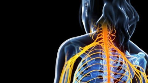 Arteriosclerosis_89930220_msbody